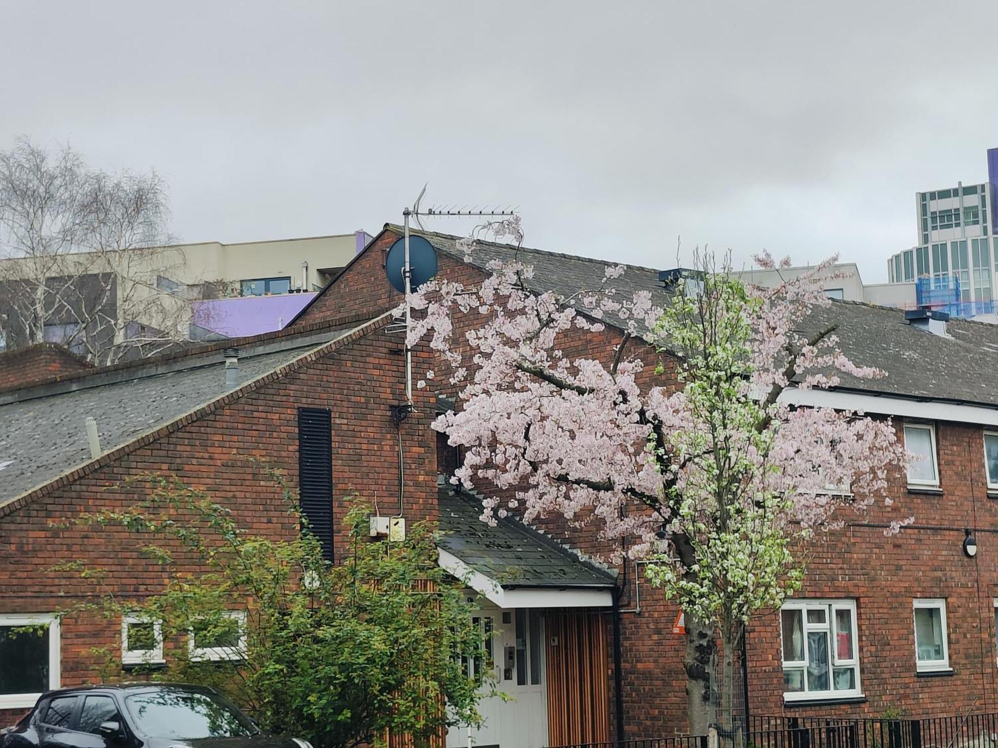 Clifton House O2 & Excel Rooms With Private Bathroom And Breakfast Option Londres Extérieur photo